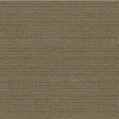 Kravet Contract 31529.81.0 Keen Upholstery Fabric in White , Black , Mercury