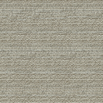 Kravet Couture 31695.11.0 Kravet Couture Upholstery Fabric in Grey , Beige