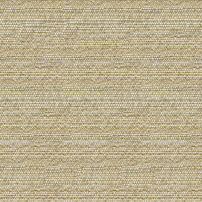 Kravet Couture 31695.1611.0 Kravet Couture Upholstery Fabric in Beige/Grey