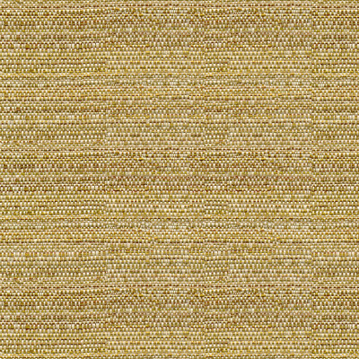 Kravet Couture 31695.416.0 Kravet Couture Upholstery Fabric in Gold/Brown/Beige