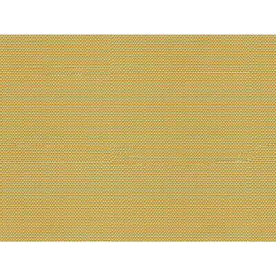 Kravet Design 31777.116.0 Kravet Design Upholstery Fabric in Beige