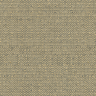 Kravet Design 31935.11.0 Ocean Treasures Upholstery Fabric in Grey , Beige , Pewter