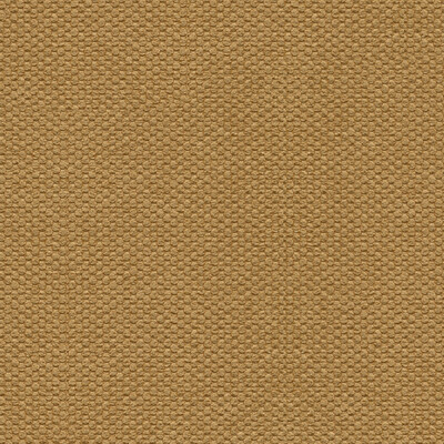 Kravet Basics 32229.16.0 Kravet Basics Multipurpose Fabric in Beige