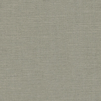 Kravet Basics 32305.11.0 Kravet Basics Multipurpose Fabric in Grey