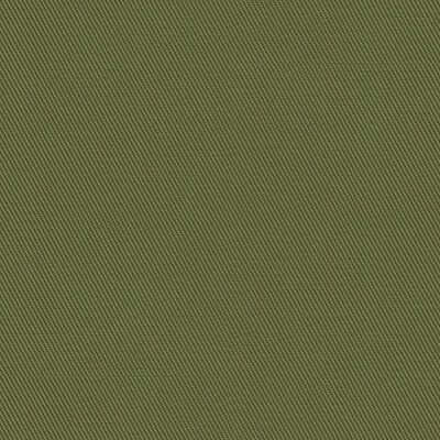 Kravet Basics 32307.3.0 Kravet Basics Multipurpose Fabric in Green