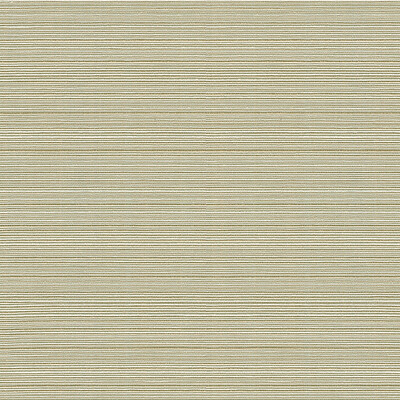 Kravet Basics 32497.16.0 Campania Multipurpose Fabric in Beige , White , Dove