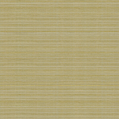 Kravet Basics 32497.3.0 Campania Multipurpose Fabric in Green , Green , Kiwi