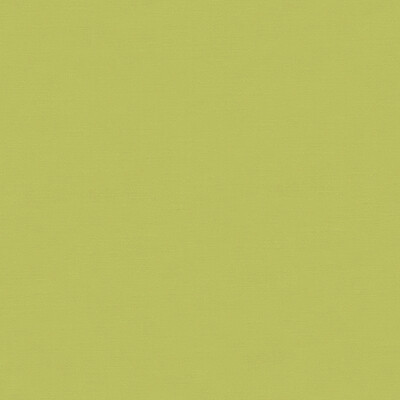 Kravet Basics 32606.130.0 Flirt Multipurpose Fabric in Green , Green , Prairie