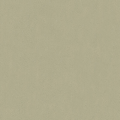Kravet Basics 32642.1121.0 Broadmoor Multipurpose Fabric in Grey , Grey , Grey