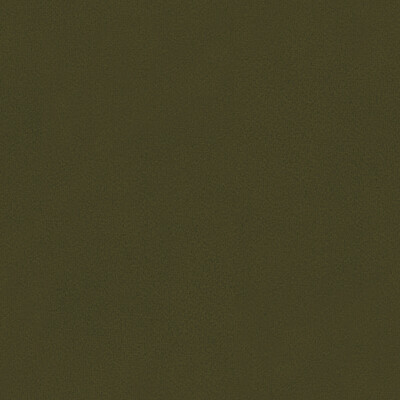 Kravet Basics 32642.666.0 Broadmoor Multipurpose Fabric in Brown , Brown , Truffle