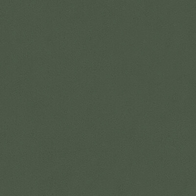Kravet Contract 32862.5252.0 Carmine Multipurpose Fabric in Grey , Grey , Flint