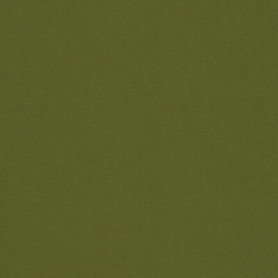 Kravet Contract 32864.130.0 Delta Upholstery Fabric in Green , Green , Loden