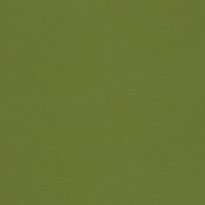 Kravet Contract 32864.303.0 Delta Upholstery Fabric in Green , Green , Reed