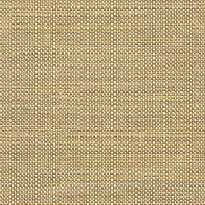 Kravet Contract 32923.616.0 Elect Upholstery Fabric in Beige , Brown , Moonstone