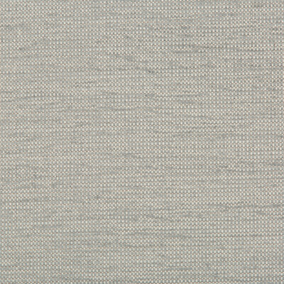 Kravet Contract 32931.11.0 Cato Upholstery Fabric in White , Grey , Moonstone