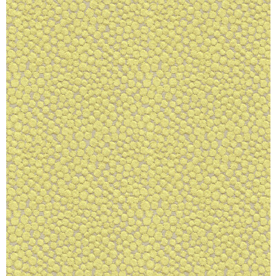 Kravet Couture 32972.323.0 Polka Dot Plush Upholstery Fabric in Wasabi/White/Green/Light Green