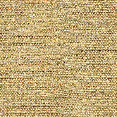 Kravet Basics 33135.1611.0 Kravet Basics Multipurpose Fabric in Beige , Brown