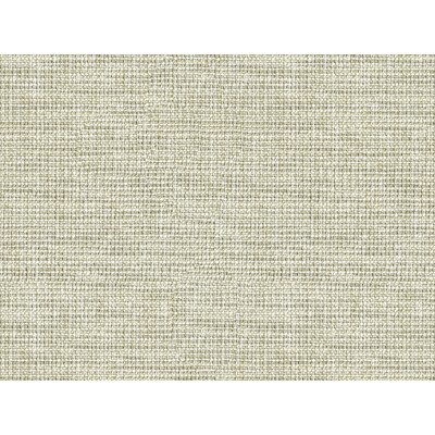 Kravet Basics 33406.1611.0 Standford Upholstery Fabric in Beige , Grey , Pewter