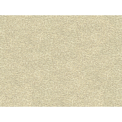 Kravet Couture 33456.11.0 Shagreen Luxury Upholstery Fabric in White , Grey , Platinum