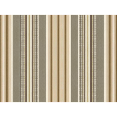 Kravet Design 33458.1611.0 Kravet Design Upholstery Fabric in Grey , Beige