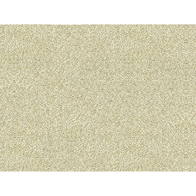 Kravet Couture 33488.16.0 Salt Flats Upholstery Fabric in Beige , Beige , Oyster