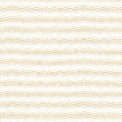 Kravet Design 33496.101.0 Cover Upholstery Fabric in White , White , Salt