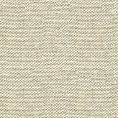 Kravet Couture 33555.11.0 Sugar Drops Upholstery Fabric in Silver , White , Platinum