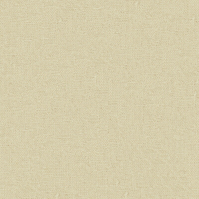 Kravet Basics 33773.11.0 Kravet Basics Multipurpose Fabric in Grey