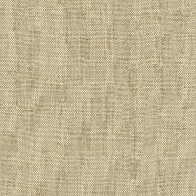 Kravet Basics 33773.52.0 Kravet Basics Multipurpose Fabric in Grey