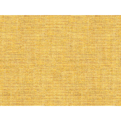 Kravet Basics 33788.416.0 Rafael Upholstery Fabric in Yellow , Yellow , Chamois