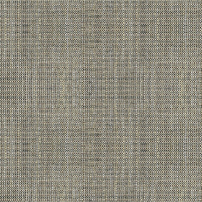 Kravet Basics 33788.81.0 Rafael Upholstery Fabric in Black , White , Coal
