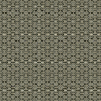 Kravet Contract 33862.1621.0 Nzuri Upholstery Fabric in Ivory , Charcoal , Thunder