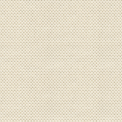 Kravet Design 33887.1.0 Sener Upholstery Fabric in Beige , Ivory , Ivory