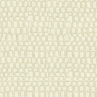 Kravet Couture 33965.111.0 Urban Armor Multipurpose Fabric in White , Neutral , Pumice