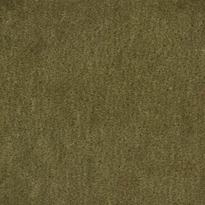 Kravet Couture 34258.311.0 Windsor Mohair Upholstery Fabric in Green , Green , Timber