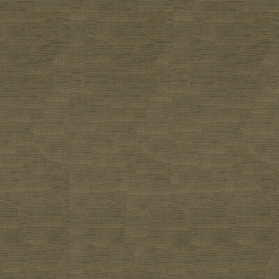 Kravet Couture 34329.106.0 High Impact Upholstery Fabric in Taupe , Beige , Fawn