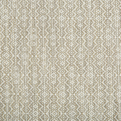 Kravet Smart 34625.1611.0 Kravet Smart Upholstery Fabric in Light Grey , Beige