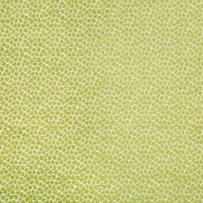 Kravet Design 34682.3.0 Kravet Design Upholstery Fabric in Green , White