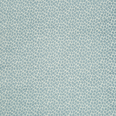 Kravet Design 34682.52.0 Kravet Design Upholstery Fabric in Blue/White