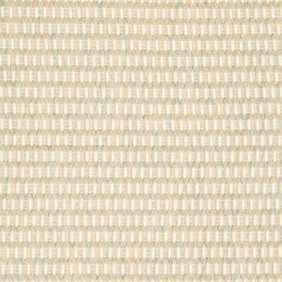 Kravet Design 34698.23.0 Kravet Design Upholstery Fabric in White , Light Green
