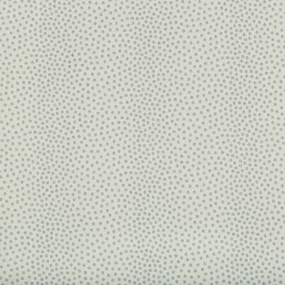 Kravet Design 34710.1611.0 Kravet Design Upholstery Fabric in Ivory , Light Grey