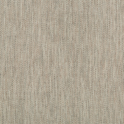 Kravet Couture 34797.1121.0 Kravet Couture Upholstery Fabric in Light Grey