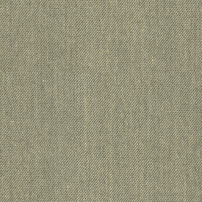 Kravet Couture 34833.11.0 Kravet Couture Upholstery Fabric in Grey