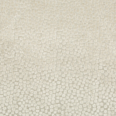 Kravet Design 34849.16.0 Flurries Upholstery Fabric in Beige , Light Grey , Stone