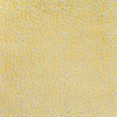 Kravet Design 34849.40.0 Flurries Upholstery Fabric in Citrine/Yellow/Gold/Light Grey