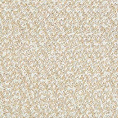 Kravet Couture 34921.16.0 Lacing Upholstery Fabric in White , Light Grey , Cashew