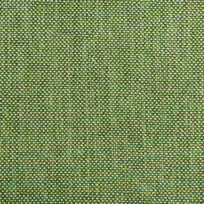 Kravet Contract 34926.323.0 Kravet Contract Upholstery Fabric in Green , Olive Green