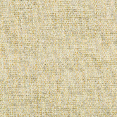 Kravet Couture 34937.413.0 Rancho Upholstery Fabric in Yellow , Light Green , Mineral