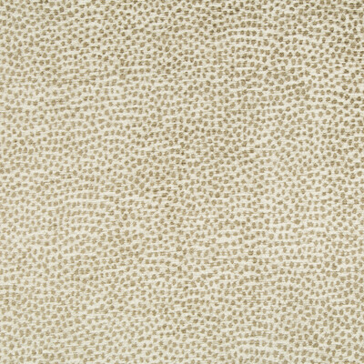 Kravet Design 34971.16.0 Kravet Design Upholstery Fabric in Beige , Ivory
