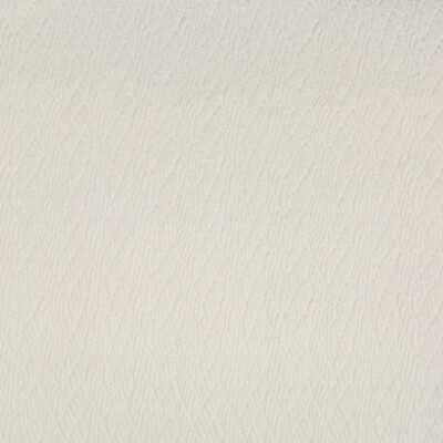 Kravet Basics 34981.1.0 Bolster Upholstery Fabric in White , White , Ivory